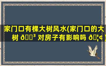 家门口有棵大树风水(家门口的大树 🌳 对房子有影响吗 🦢 )